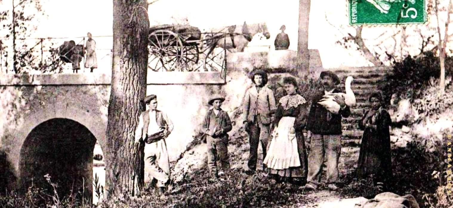 3076- Le Telagh - Dans le Bosquet2 - 1909.jpg